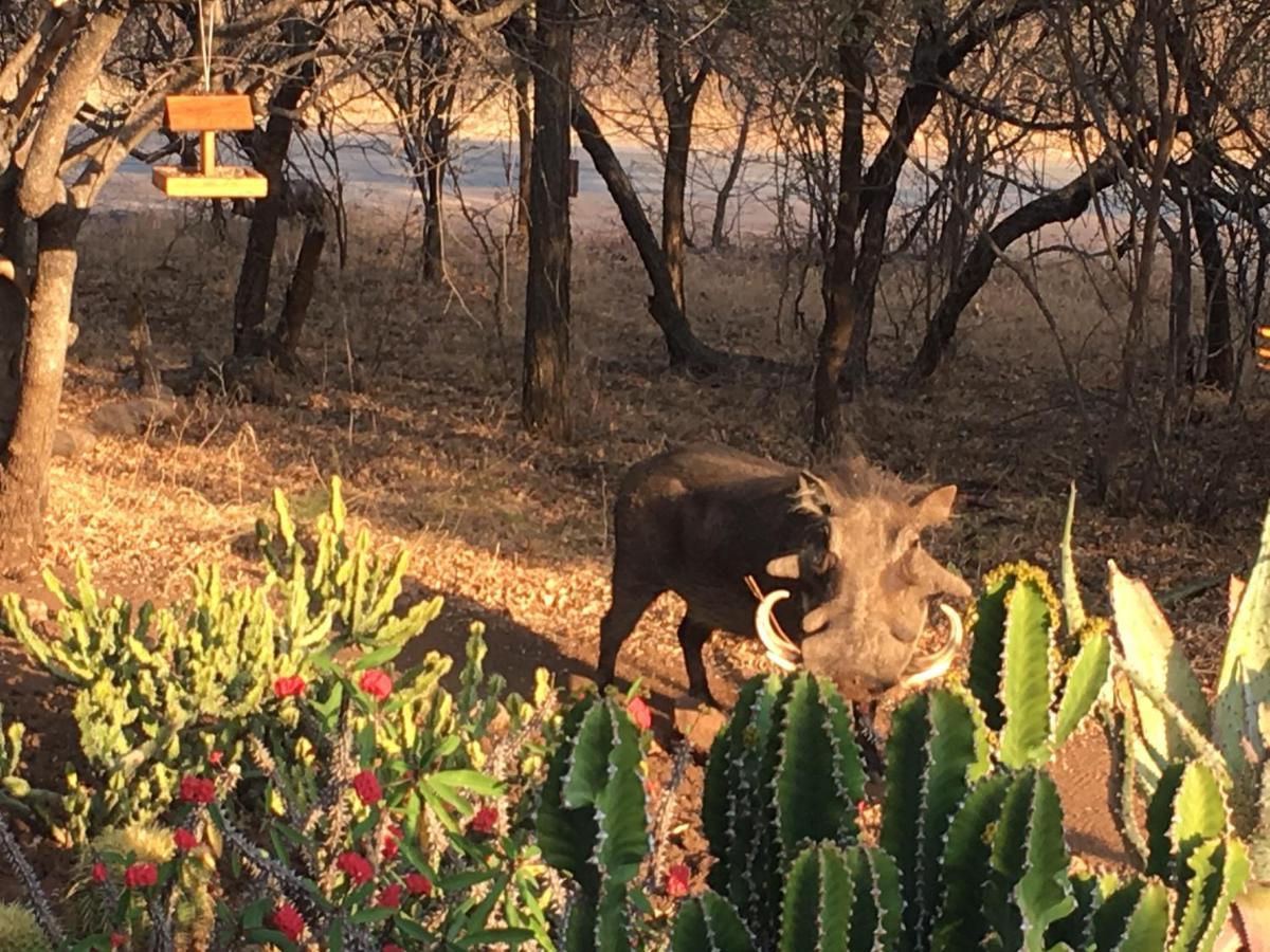 Giraffe Lodge Hoedspruit Eksteriør bilde