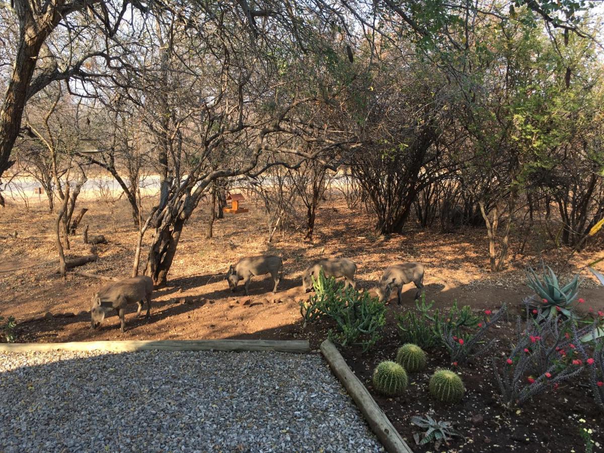 Giraffe Lodge Hoedspruit Eksteriør bilde