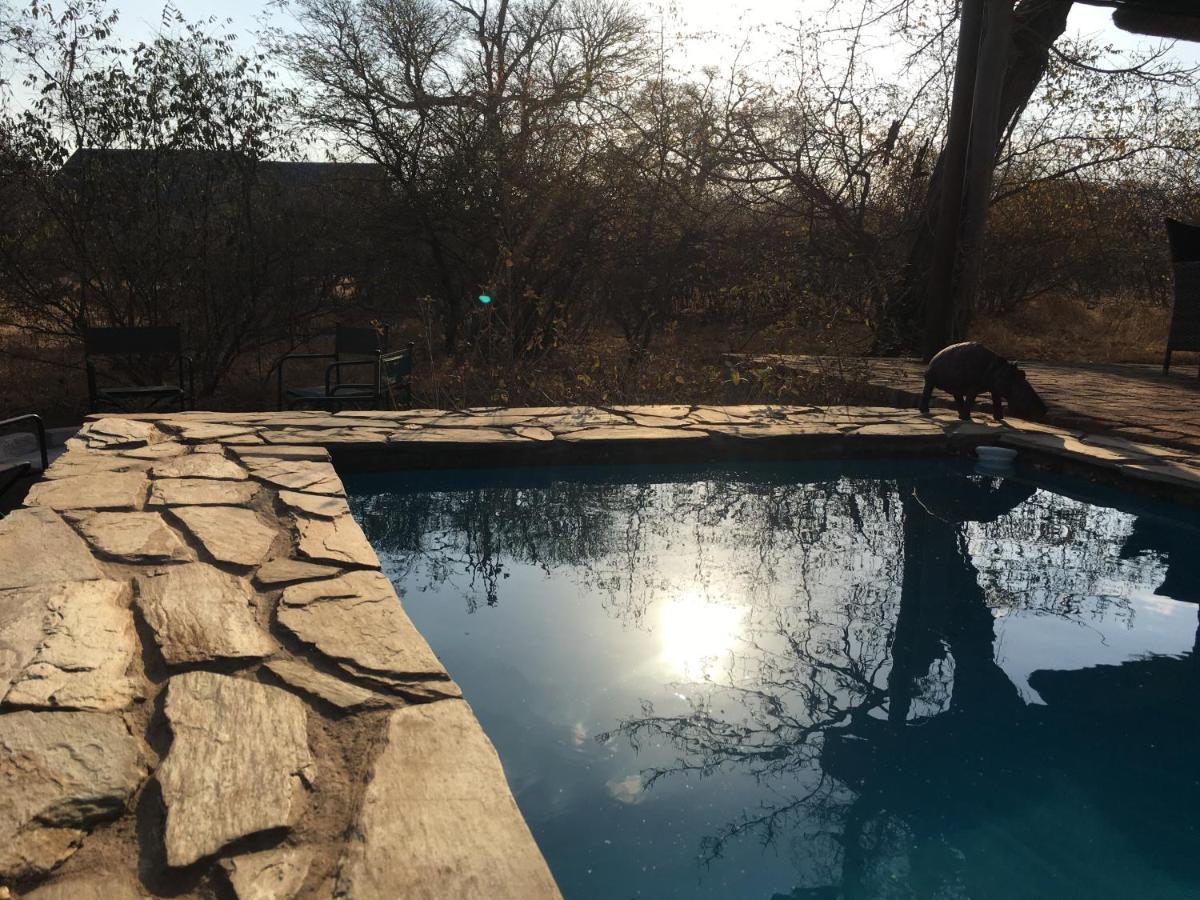 Giraffe Lodge Hoedspruit Eksteriør bilde