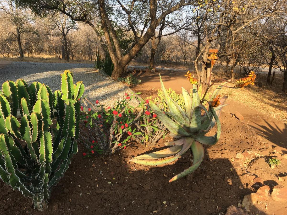 Giraffe Lodge Hoedspruit Eksteriør bilde