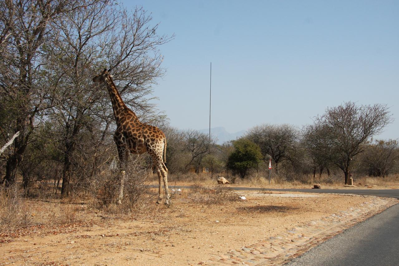 Giraffe Lodge Hoedspruit Eksteriør bilde